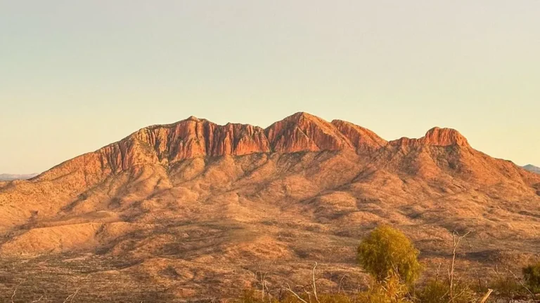 Larapinta Trail: Distance, Sections & Best Hiking Tips